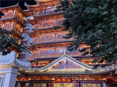 优质茶叶为您带来品味与享受